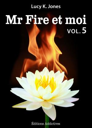 Cover of the book Mr Fire et moi - volume 5 by Lisa Swann
