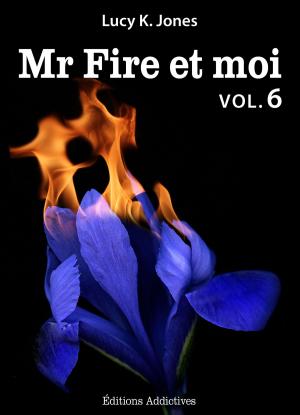 Book cover of Mr Fire et moi - volume 6