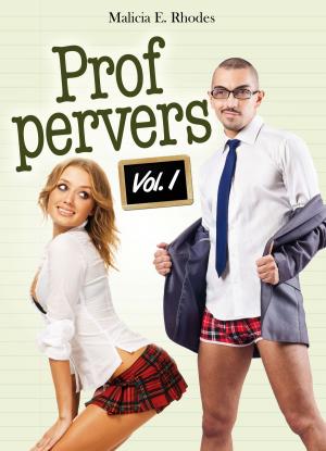 Cover of the book Prof pervers - vol.1 by David Mack