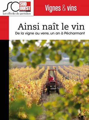 Cover of the book Ainsi naît le vin by Jean-Pierre Dorian, Fabien Pont, Arnaud David, Nicolas Espitalier, Journal Sud Ouest