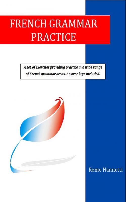 Cover of the book French Grammar Practice by Remo Nannetti, Remo Nannetti