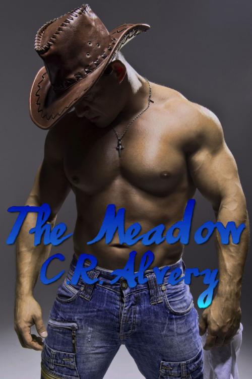 Cover of the book The Meadow by C.R Alvery, C.R. Alvery