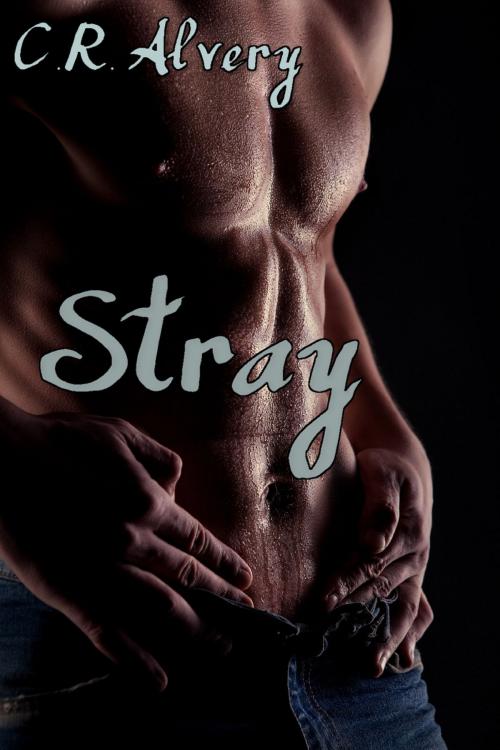 Cover of the book Stray by C.R Alvery, C.R. Alvery