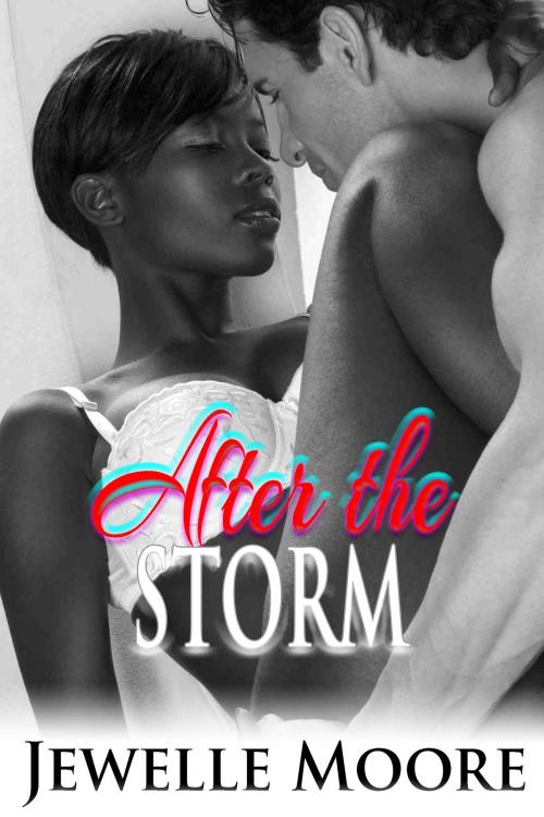 Cover of the book After the Storm by Jewelle Moore, ShadesOfGrey Publishing