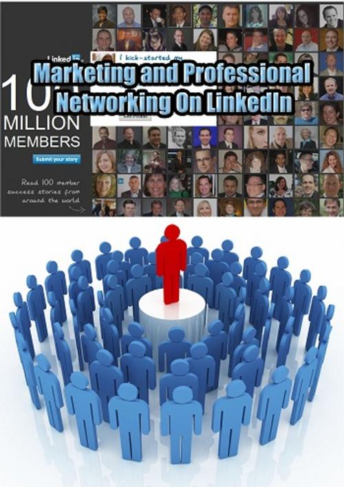 Cover of the book Marketing and professional networking On LinkedIn by Karl Laemmermann, Heinz Duthel