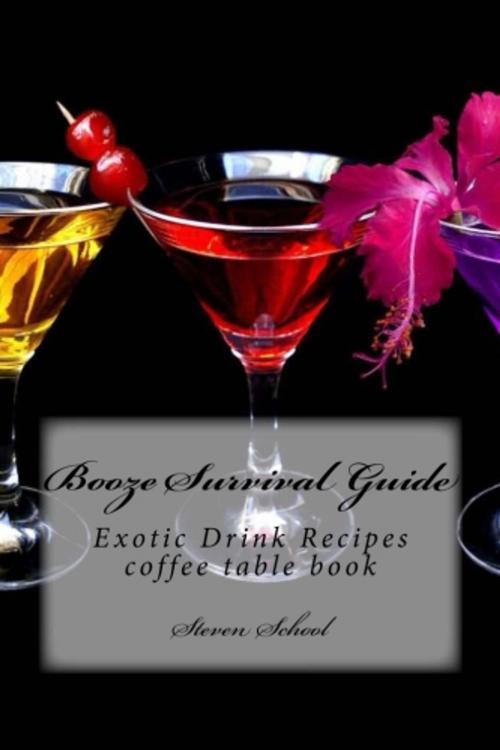 Cover of the book Booze Survival Guide by steven school, steven school