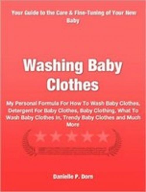 Cover of the book Washing Baby Clothes by Danielle Dorn, Tru Divine Publishing
