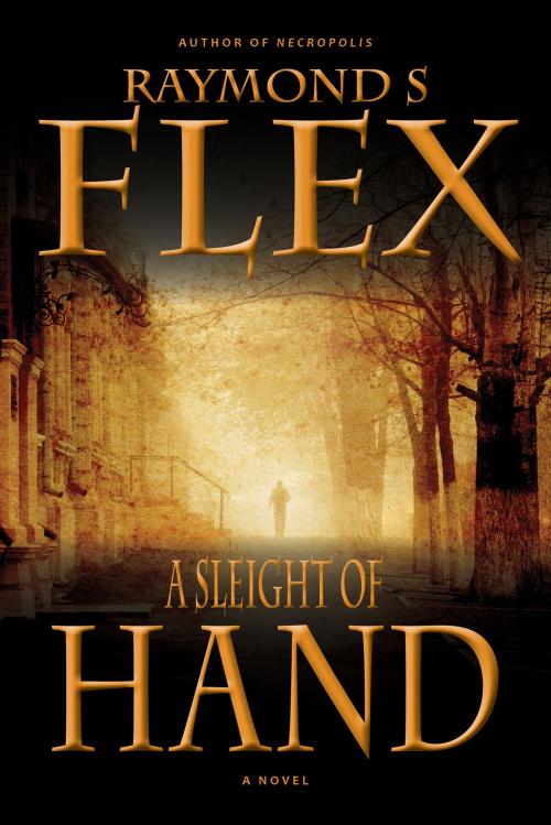 Cover of the book A Sleight Of Hand by Raymond S Flex, DIB Books