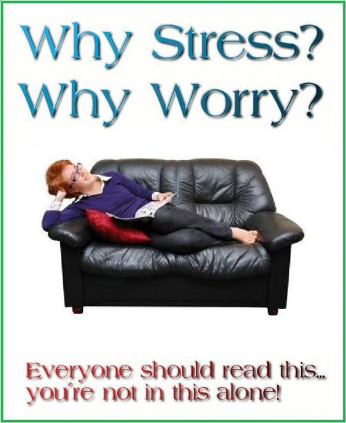 Cover of the book Why Stress? Why Worry? by Ray Kay, Vindo Books