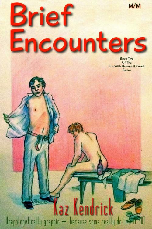 Cover of the book Brief Encounters by Kaz Kendrick, Hotshot Publishing
