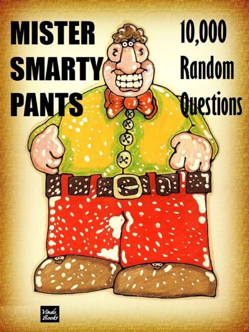 Cover of the book Mister Smarty Pants by Gary Stone, Vindo Books