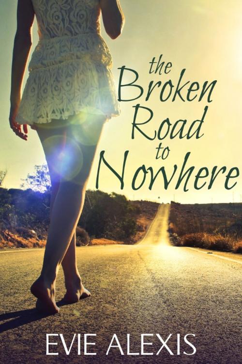Cover of the book The Broken Road to Nowhere by Evie Alexis, Vinspire Publishing, LLC