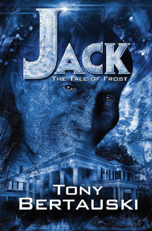 Cover of the book Jack: The Tale of Frost by Tony Bertauski, DeadPixel Publications