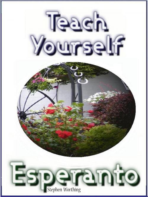 Cover of the book Teach Yourself Esperanto by Stephen Worthing, Vindo Books