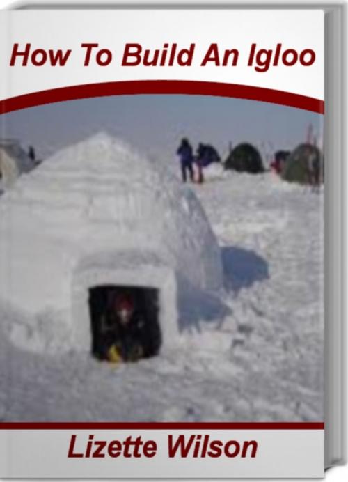 Cover of the book How To Build An Igloo by Lizette Wilson, Tru Divine Publishing