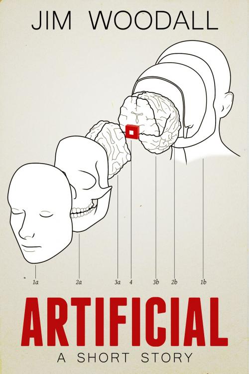 Cover of the book Artificial by Jim Woodall, Jim Woodall