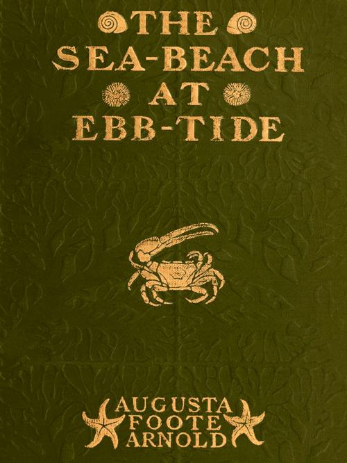 Cover of the book The Sea-beach at Ebb-tide by Augusta Foote Arnold, VolumesOfValue