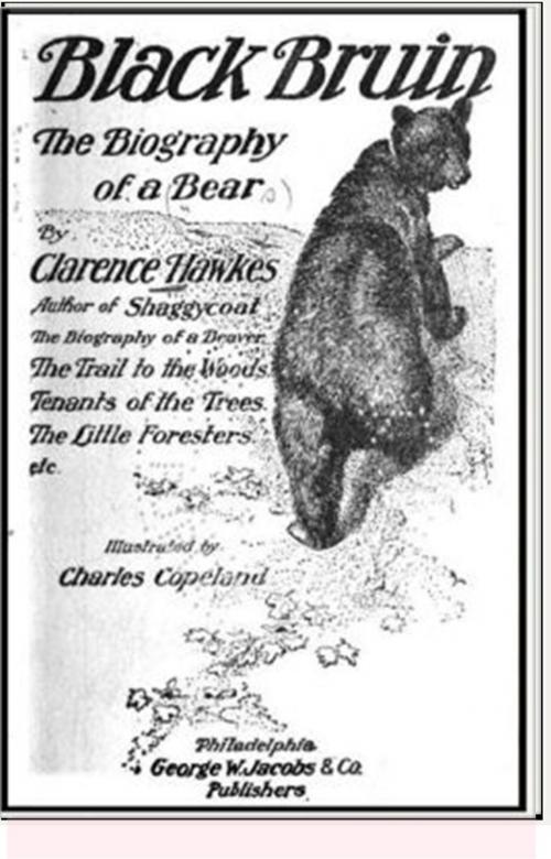 Cover of the book Black Bruin by Clarence Hawkes, Classic Adventures