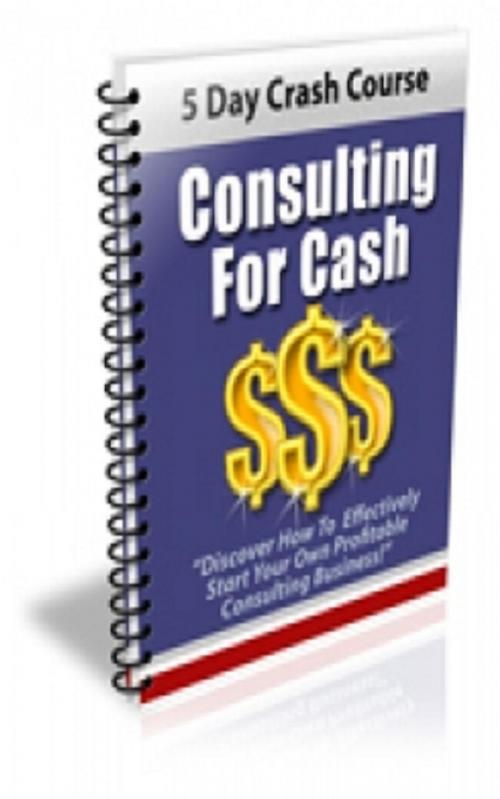 Cover of the book How To Consulting For Cash by Jimmy Cai, Stark Publishing