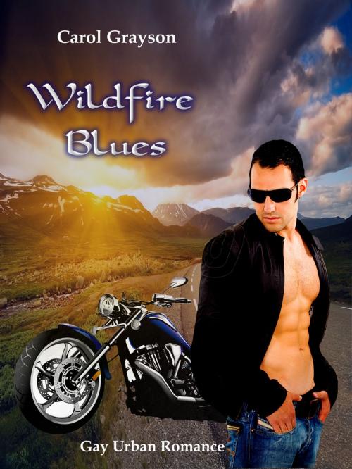 Cover of the book Wildfire Blues by Carol Grayson, Carola Kickers