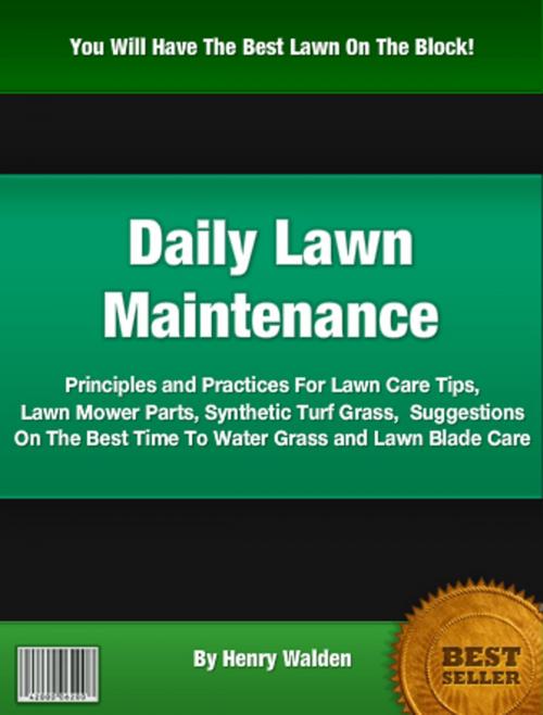 Cover of the book Daily Law Maintenance by Henry Walden, Clinton Gilkie