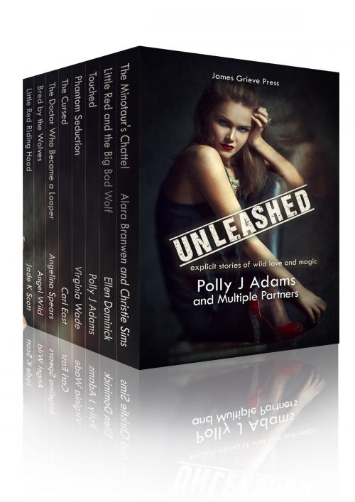 Cover of the book Unleashed by Polly J Adams, Ruby Fielding, Multiple Authors, James Grieve Press
