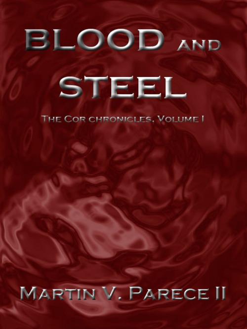 Cover of the book Blood and Steel by Martin Parece, Parece Publishing