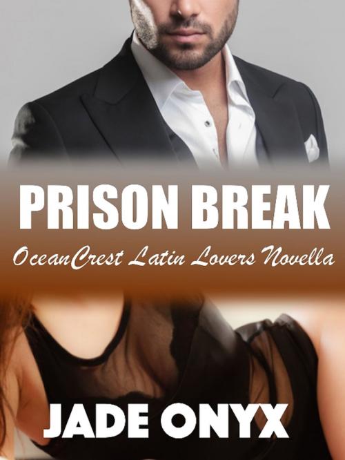 Cover of the book Prison Break by Jade Onyx, Jade Onyx