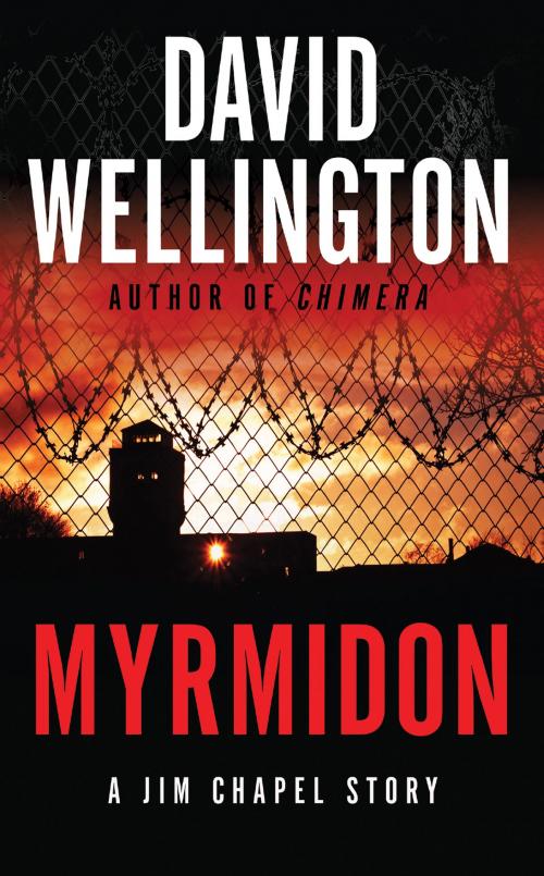 Cover of the book Myrmidon by David Wellington, William Morrow