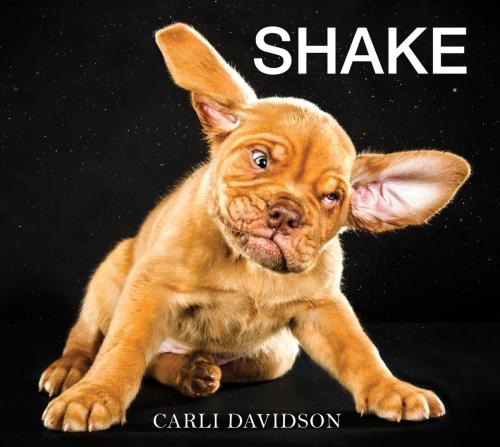Cover of the book Shake by Carli Davidson, Harper Design
