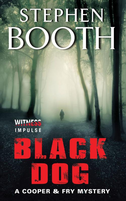 Cover of the book Black Dog by Stephen Booth, Witness Impulse