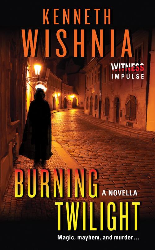 Cover of the book Burning Twilight by Kenneth J Wishnia, Witness Impulse