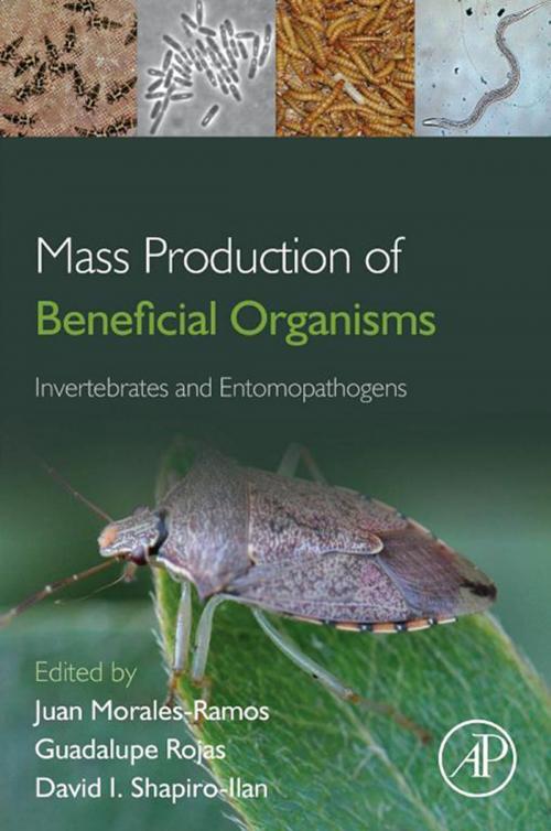 Cover of the book Mass Production of Beneficial Organisms by , Elsevier Science