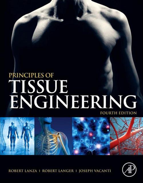 Cover of the book Principles of Tissue Engineering by , Elsevier Science