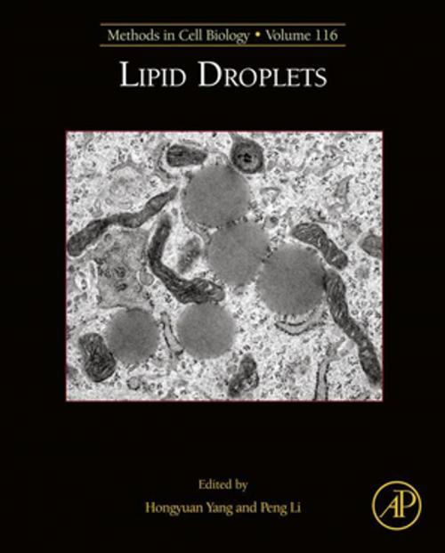 Cover of the book Lipid Droplets by , Elsevier Science