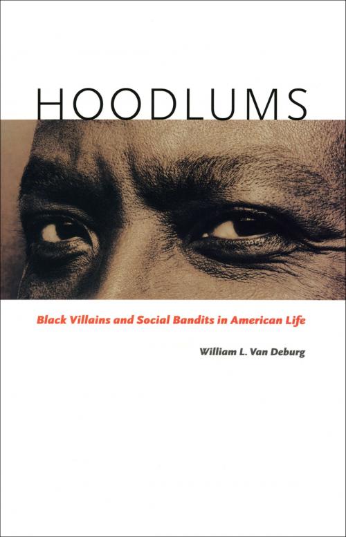 Cover of the book Hoodlums by William L. Van Deburg, University of Chicago Press