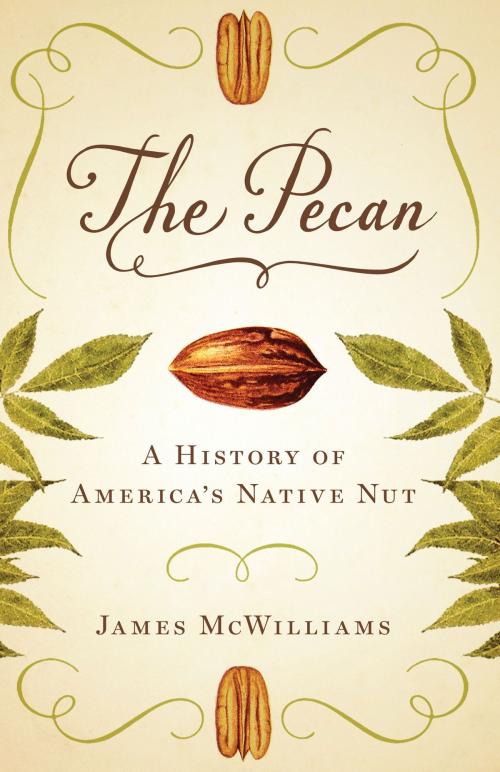 Cover of the book The Pecan by James McWilliams, University of Texas Press