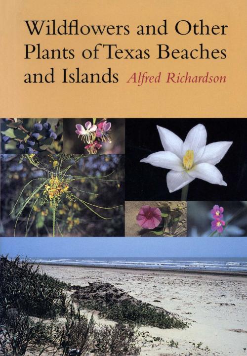 Cover of the book Wildflowers and Other Plants of Texas Beaches and Islands by Alfred Richardson, University of Texas Press