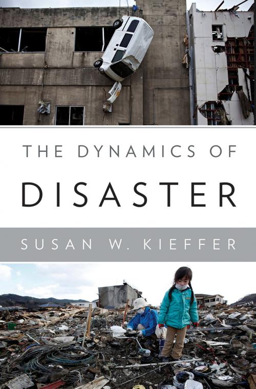 Cover of the book The Dynamics of Disaster by Susan W. Kieffer, W. W. Norton & Company