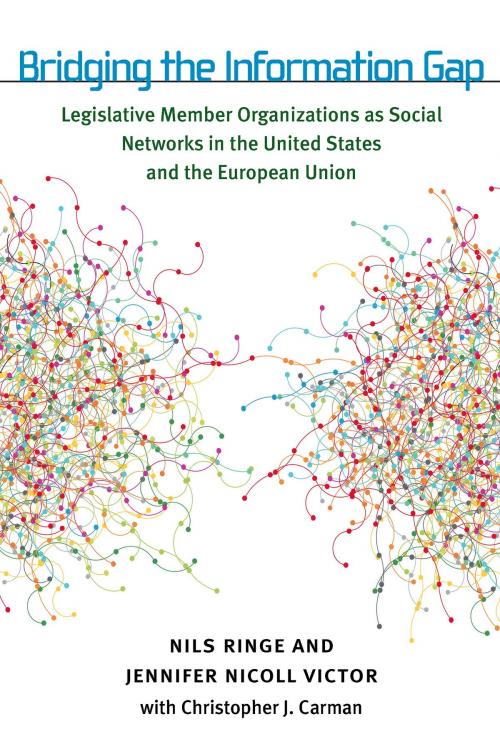 Cover of the book Bridging the Information Gap by Nils Ringe, Jennifer N Victor, Christopher J Carman, University of Michigan Press