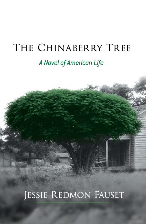 Cover of the book The Chinaberry Tree by Jessie Redmon Fauset, Dover Publications