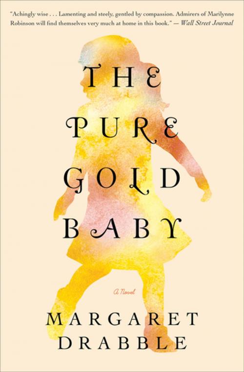 Cover of the book The Pure Gold Baby by Margaret Drabble, Houghton Mifflin Harcourt