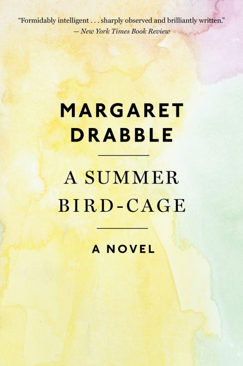 Cover of the book A Summer Bird-Cage by Margaret Drabble, HMH Books