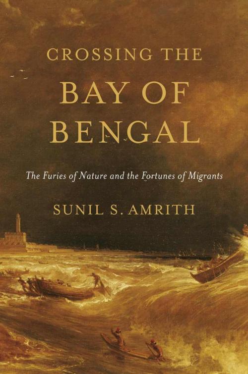 Cover of the book Crossing the Bay of Bengal by Sunil S. Amrith, Harvard University Press