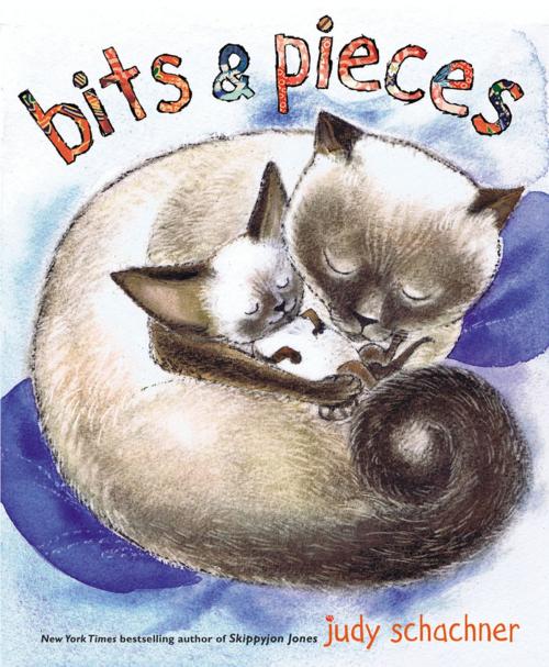 Cover of the book Bits & Pieces by Judy Schachner, Penguin Young Readers Group