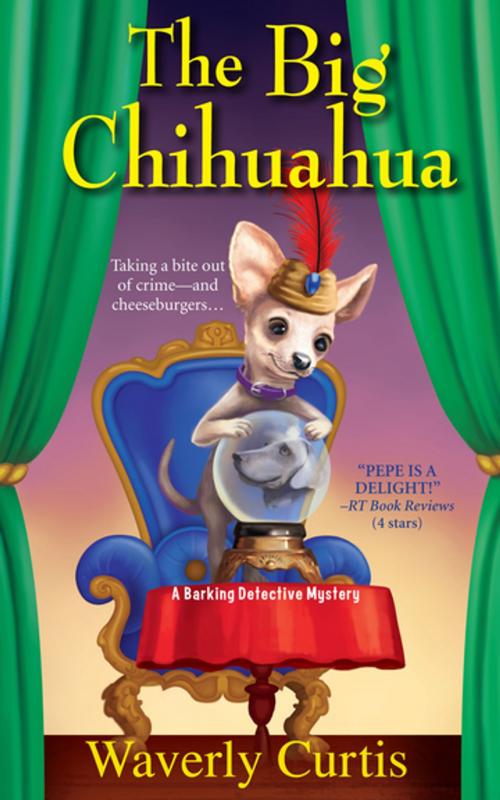 Cover of the book The Big Chihuahua by Waverly Curtis, Kensington