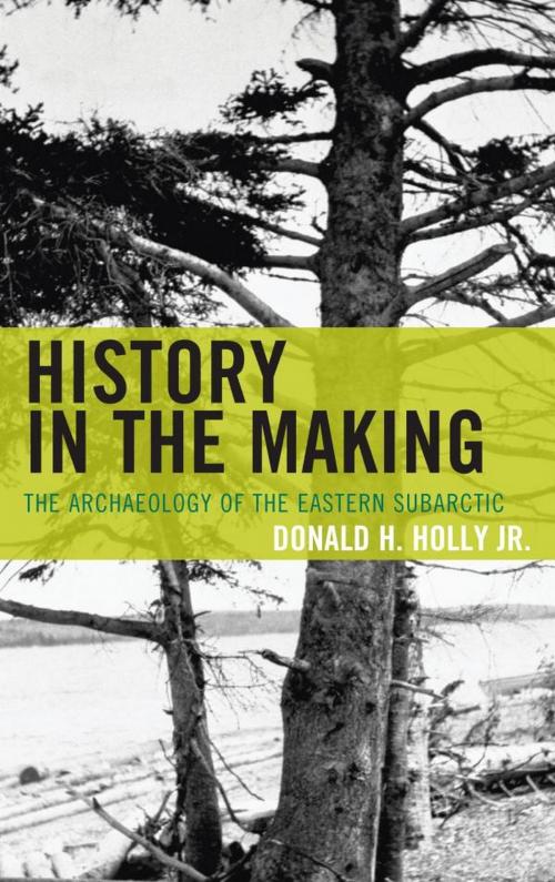 Cover of the book History in the Making by Donald H. Holly Jr., associate professor of anthropology, Eastern Illinois University, AltaMira Press