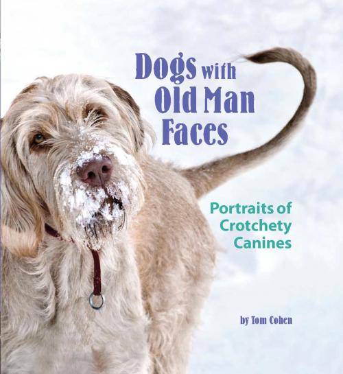 Cover of the book Dogs with Old Man Faces by Tom Cohen, Running Press