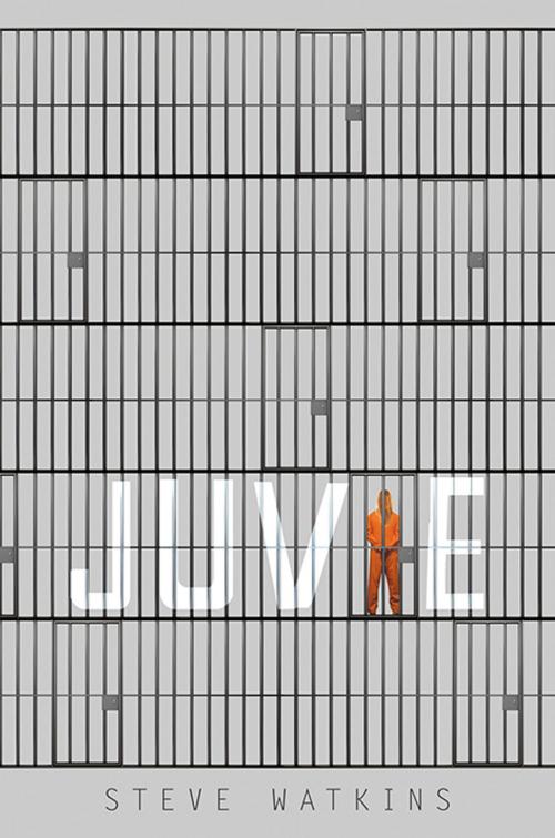 Cover of the book Juvie by Steve Watkins, Candlewick Press