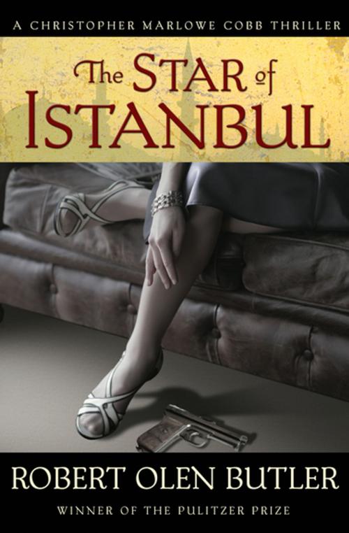 Cover of the book The Star of Istanbul by Robert Olen Butler, Grove Atlantic